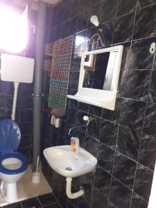 a bathroom with a sink and a toilet and a mirror at Studio-apartman Milena 2 in Podgorica