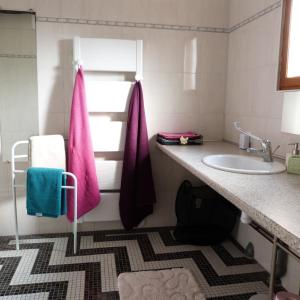 baño con toallas rosas y lavamanos en Gîte et Relais Equestre de Marie, en Tours-en-Vimeu