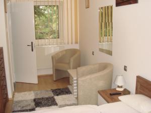 Billede fra billedgalleriet på Brasch Apartman i Fertőrákos