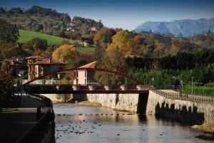 eine Brücke über einen Fluss mit Enten im Wasser in der Unterkunft Los Acebos Cangas in Cangas de Onís