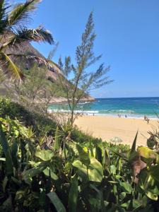 Photo de la galerie de l'établissement Casa da lu Itacoatiara -Suíte Andorinhas, à Niterói