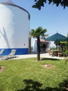 a park with a chair and a palm tree at Herdade do moinho in Santiago do Cacém