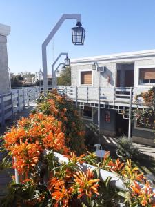 聖胡安的住宿－PARQUE APART HOTEL，阳台上放着一束橙色的鲜花