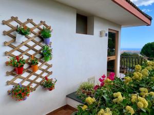 Zahrada ubytování b&b Casa di Antonio_Etna Vacanze