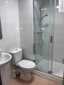 ein Bad mit einer Dusche, einem WC und einem Waschbecken in der Unterkunft Greenland's Inn in Longbridge
