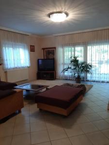 A television and/or entertainment centre at Villa Csilla elegant house