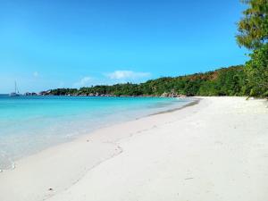 una playa con arena blanca, agua azul y árboles en Le Chevalier Bay Guesthouse, en Anse Lazio