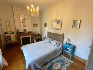 a bedroom with a bed and a chandelier at Chambres Rue De Lorry in Bagnères-de-Bigorre