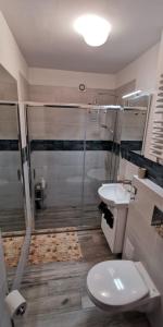 a bathroom with a shower and a toilet and a sink at Apartament Highway To Hel in Hel