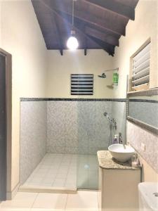 a bathroom with a glass shower and a sink at Coral Villa in Saint Philip