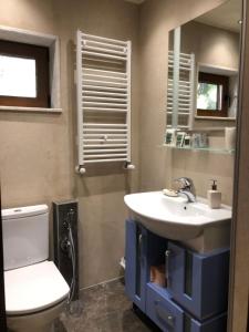 Vonios kambarys apgyvendinimo įstaigoje Luxury Villa Borina
