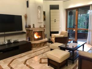 een woonkamer met een open haard en een televisie bij Luxury Villa Borina in Zheleznitsa