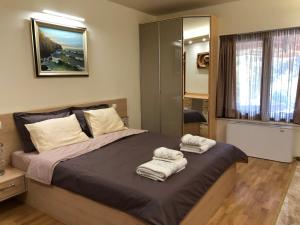 een slaapkamer met een bed met handdoeken erop bij Luxury Villa Borina in Zheleznitsa
