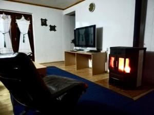 a living room with a fireplace and a television at Villa ORKA Pelister - Forest Zone in Bitola