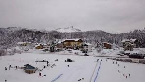 Residence Capriolo v zime