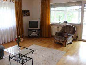 un soggiorno con sedia e TV di Apartment in Goggersreut mit Terrasse a Röhrnbach