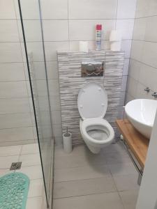La salle de bains est pourvue de toilettes et d'un lavabo. dans l'établissement Alfastudio, à Breuil-Cervinia