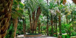 A garden outside Moderno Loft a 150 metros de la playa