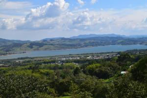 einen Blick auf einen Wasserkörper von einem Hügel in der Unterkunft Ecolife Calima in Calima