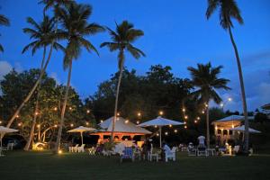 Kebun di luar Hotel TODOBLANCO, Las Galeras, SAMANA
