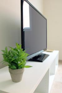 una TV seduta su una scrivania bianca con una pianta di Apartamentos Albeniz a Algeciras