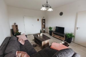 sala de estar con sofá y mesa de centro en Magas-lak Apartman Eger, en Eger