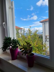 Balkón nebo terasa v ubytování Apartmani Lenka