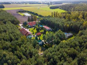 uma vista aérea de uma casa numa floresta em Szumi Las Events & Apartments em Regimin