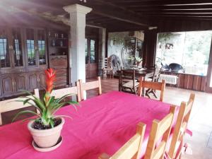 a dining room with a table with a plant on it at Casa do Val in Ponteareas