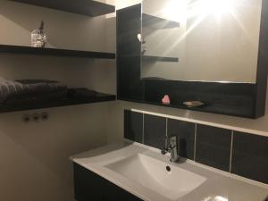 a bathroom with a sink and a mirror at Gite a la ferme in Rouessé-Vassé