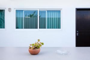 Fotografie z fotogalerie ubytování Hotel Del Sol v destinaci Cancún