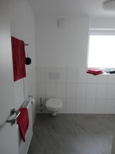 uma casa de banho branca com um WC e uma janela em Ferienwohnung 4 in den Krautgärten em Ochsenburg