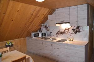 a kitchen with a sink and a microwave at Domek Jaskółka in Białowieża