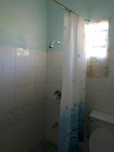 uma casa de banho com um chuveiro e um WC. em Ms. Holder's Comfort Villa em Georgetown