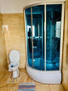 a bathroom with a toilet and a glass shower at Pensiunea Anca in Rona de Jos