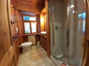 a small bathroom with a toilet and a shower at tana del paradiso due in Baceno