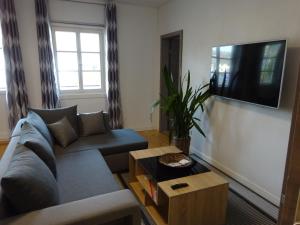uma sala de estar com um sofá e uma televisão de ecrã plano em Krugs Haus Ferienwohnungen Wasserkuppe em Ebersburg