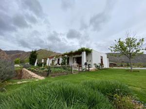 Gallery image of Alpaca Inn in Montagu