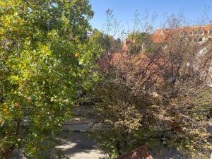 Foto dalla galleria di Très joli appartement au centre de IFRANE a Ifrane