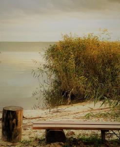 a bench sitting on the beach next to the water at Auszeit am Haffufer in Wilhelmshof