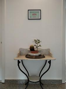 einen Tisch mit einer Pflanze darüber in der Unterkunft La Finestra Sull'Etna in Motta SantʼAnastasia