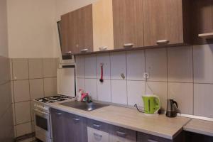 cocina con fregadero y fogones en Downtown central-apartment, en Oradea