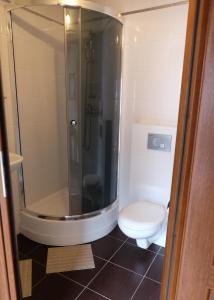 a bathroom with a shower and a toilet at Lublin Apartaments in Lublin