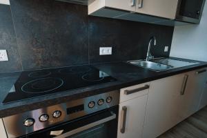 Afbeelding uit fotogalerij van M-24 Apartments in Mattersburg +26 foto's