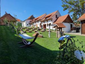 een tuin met een schommelstoel en huizen bij Veseud11 in Veseud-Agnita