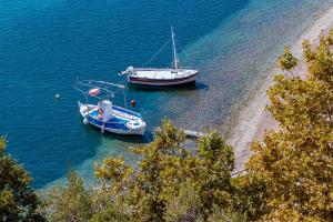 Príroda v okolí apartmánu