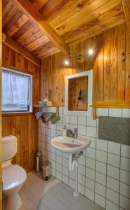 a bathroom with a sink and a toilet at Buena Vista Apartment in Marahau