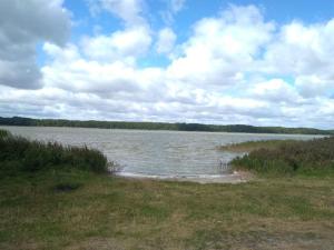 Gallery image of Ferienwohnung auf dem Land Mecklenburgische Seenplatte Müritz, ländliche Region in Below