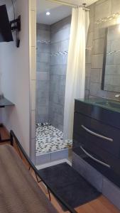 a bathroom with a shower with a vanity and a sink at Hôtel - Gîte de Pressins in Pressins +30 photos