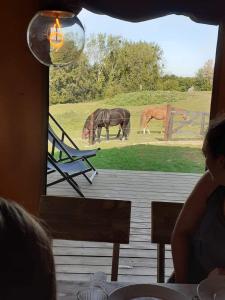 two horses grazing in a field with a fence at Le Relais d'Artagnan - relais équestre in Mortier